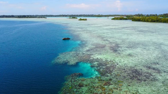 مزاد فريد: 100 جزيرة للبيع بإندونيسيا، والمشتري يجب أن يكون واحدا فقط! صورة رقم 7