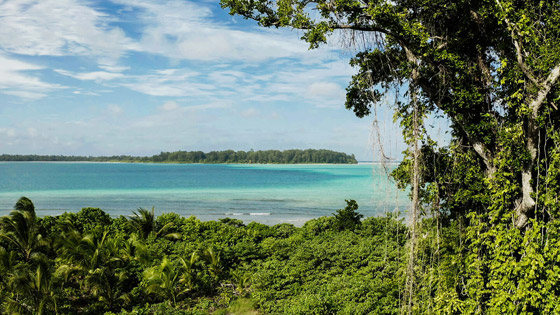 مزاد فريد: 100 جزيرة للبيع بإندونيسيا، والمشتري يجب أن يكون واحدا فقط! صورة رقم 8