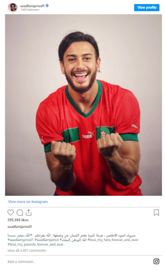  صورة رقم 6 - النجوم يهنئون المغرب بفوزه على بلجيكا بكأس العالم: 