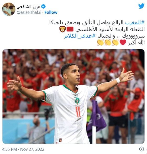  صورة رقم 20 - النجوم يهنئون المغرب بفوزه على بلجيكا بكأس العالم: 