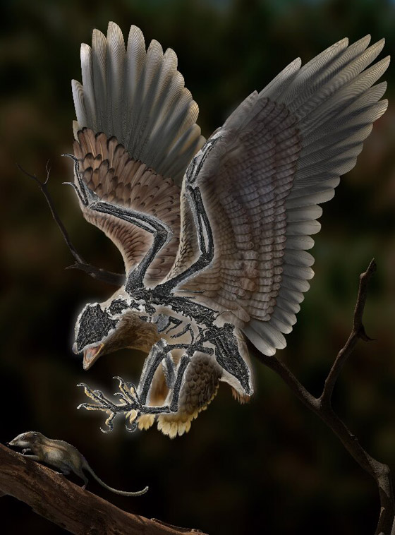 اكتشاف غريب الأطوار.. حيوان برأس ديناصور وجسم طائر! فيديو وصور صورة رقم 3
