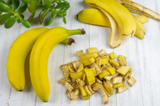  صورة رقم 1 - فوائد صحية وغذائية عديدة لـ مخبوزات دقيق قشور الموز