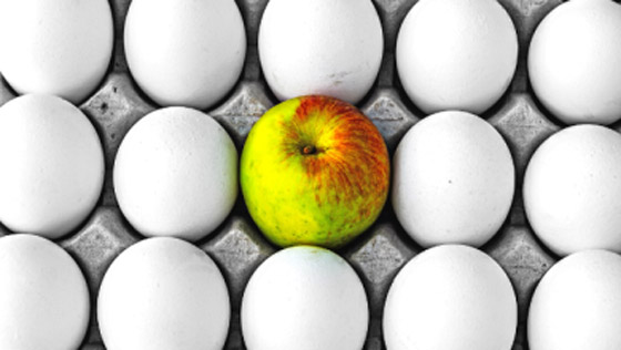  صورة رقم 6 - ما هي فوائد التفاح والبيض لصحة الإنسان؟