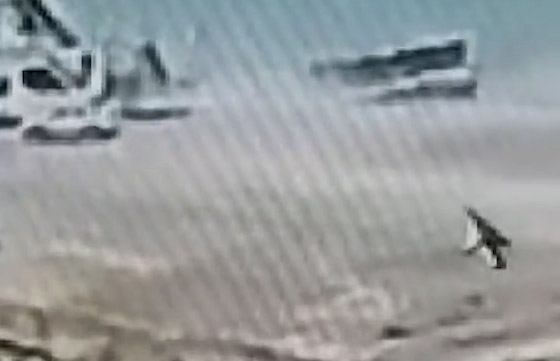 فيديو: لحظات مرعبة لركاب سقطت بهم الحافلة في بحيرة بتركيا صورة رقم 9