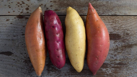 البطاطا الحلوة.. أصناف وألوان بفوائد جمة صورة رقم 2