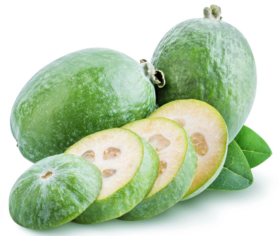  صورة رقم 2 - 6 فوائد لفاكهة الفيجوا للحصول على صحة جيدة وجسم خال من الأمراض