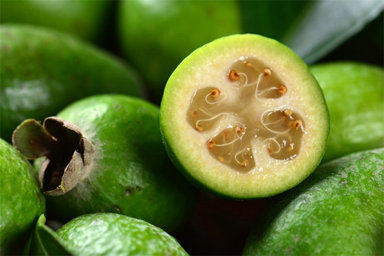  صورة رقم 3 - 6 فوائد لفاكهة الفيجوا للحصول على صحة جيدة وجسم خال من الأمراض