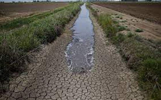 بسبب شح المياه.. تقرير أممي يحذّر من حدوث أزمة عالمية صورة رقم 5