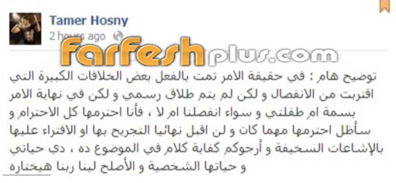 طلاق تامر حسني وبسمة بوسيل يفتح ملف أزماتهما: انفصلا 4 مرات والـ 5 انتهت بالطلاق! صورة رقم 1