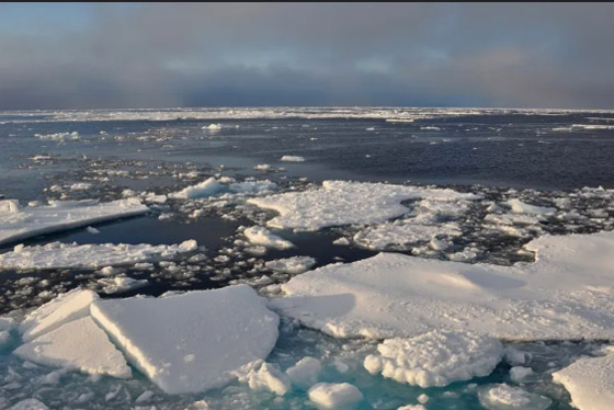  صورة رقم 4 - كيف يتشكل جليد البحر من مياه عذبة بينما المحيطات مالحة؟
