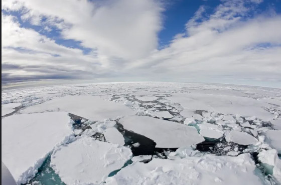 صورة رقم 2 - كيف يتشكل جليد البحر من مياه عذبة بينما المحيطات مالحة؟
