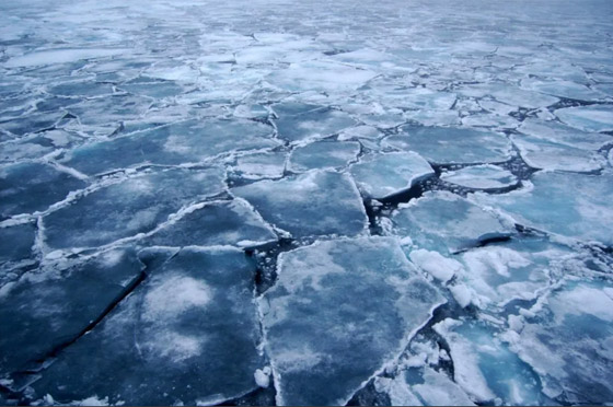  صورة رقم 1 - كيف يتشكل جليد البحر من مياه عذبة بينما المحيطات مالحة؟