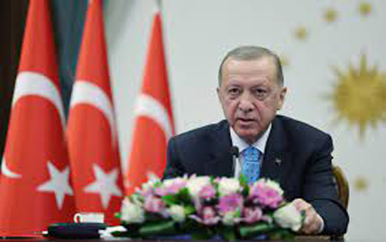 بالفيديو.. أردوغان يغفو خلال لقاء تلفزيوني مباشر صورة رقم 4