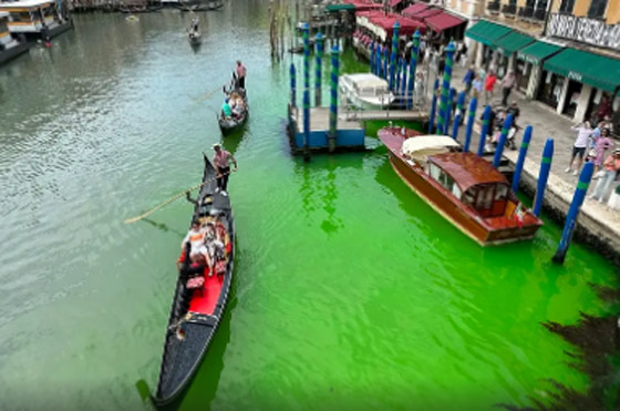  صورة رقم 6 - سائل أخضر غامض يغزو مياه البندقية.. والسلطات تحقق