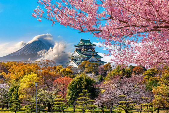 نصائح ومعلومات هامة للمسافرين عند السياحة في اليابان صورة رقم 1