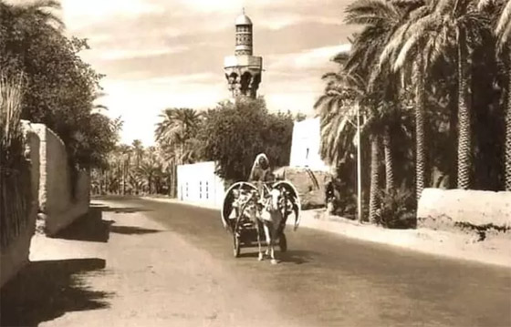  صورة رقم 11 - هدم مسجد تاريخي 