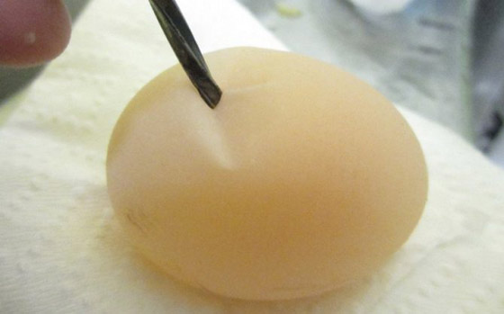  صورة رقم 3 - بيضة دجاجة غريبة بدون قشرة تثير ضجة