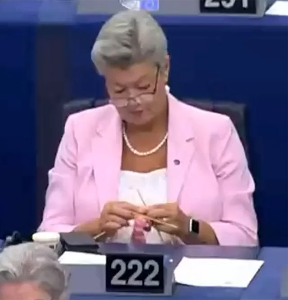  صورة رقم 7 - ملت حتى الموت.. فيديو مسؤولة تحيك خلال خطاب رئيسة البرلمان الأوروبي