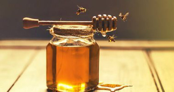  صورة رقم 4 - 6 أسباب تجعل العسل أفضل غذاء لصحتك