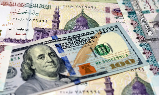  صورة رقم 4 - الدولار يقفز بالسوق الموازية في مصر.. طلب عنيف أم مضاربات؟