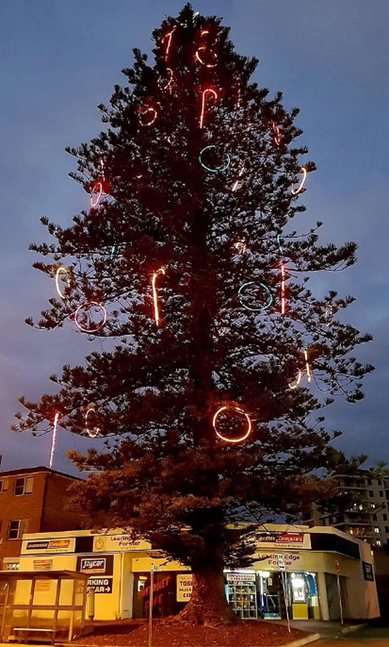 زينة شجرة عيد الميلاد تشعل الغضب ضد بلدية أسترالية صورة رقم 3