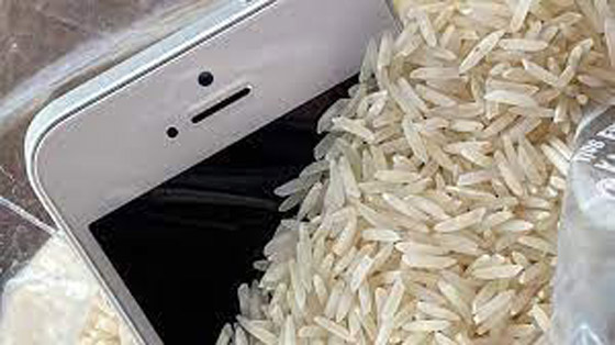  صورة رقم 5 - آبل تحذر: لا تضع هاتفك في الأرز !