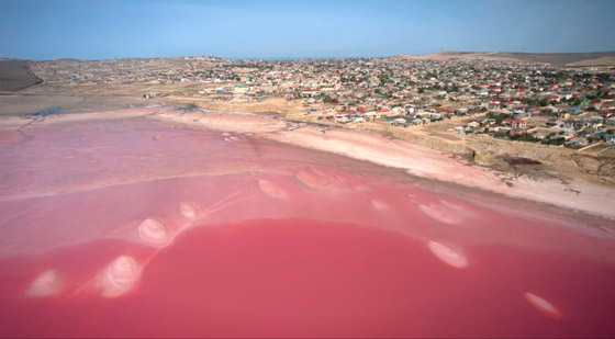 في أذربيجان.. بحيرة وردية اللون تتوسط منطقة مأهولة بالسكان (صور) صورة رقم 1