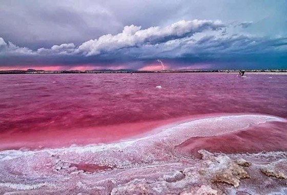في أذربيجان.. بحيرة وردية اللون تتوسط منطقة مأهولة بالسكان (صور) صورة رقم 3