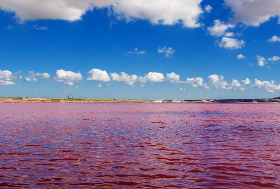 في أذربيجان.. بحيرة وردية اللون تتوسط منطقة مأهولة بالسكان (صور) صورة رقم 4