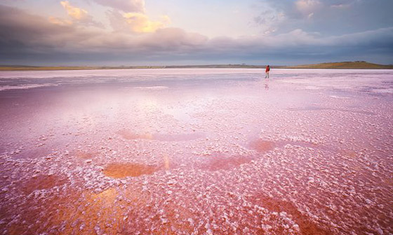 في أذربيجان.. بحيرة وردية اللون تتوسط منطقة مأهولة بالسكان (صور) صورة رقم 6