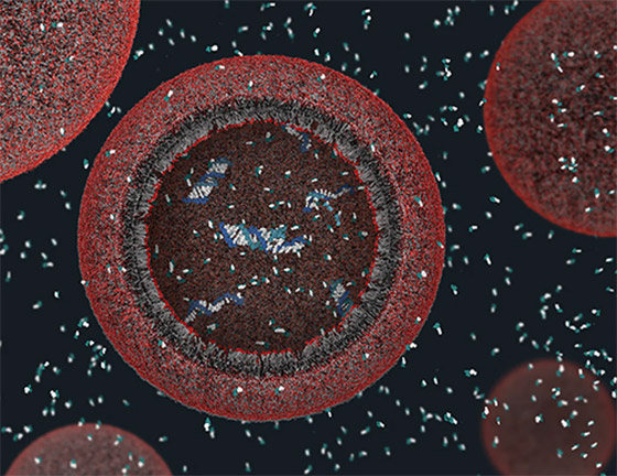اكتشاف كيفية تشكل الخلايا الأولى على كوكب الأرض صورة رقم 5