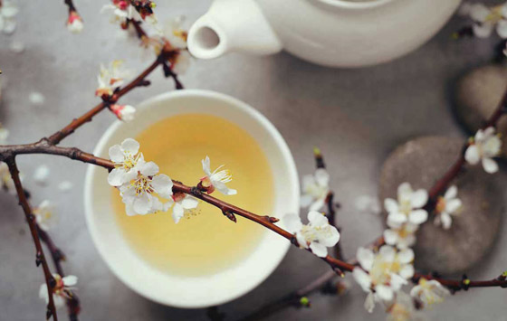 10 فوائد صحية رائعة للشاي الأبيض.. يكافح السمنة والشيخوخة صورة رقم 2