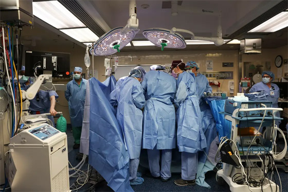 فيديو: جراحون أمريكيون يزرعون كلية خنزير معدل وراثيا لمريض حي صورة رقم 4