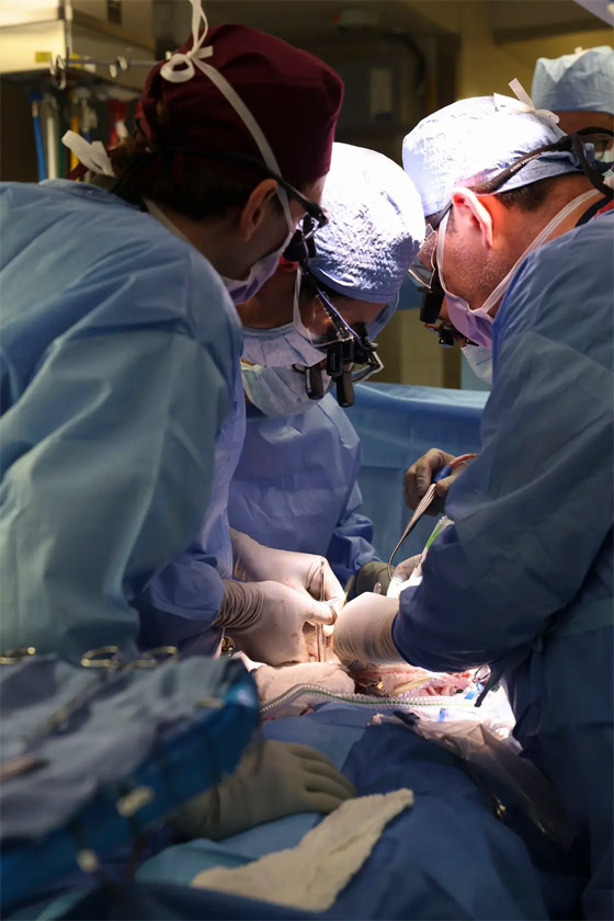 فيديو: جراحون أمريكيون يزرعون كلية خنزير معدل وراثيا لمريض حي صورة رقم 7