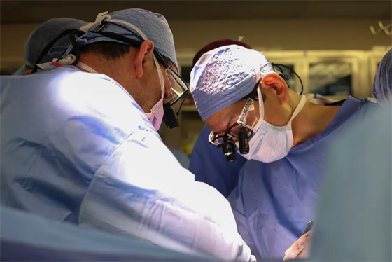 فيديو: جراحون أمريكيون يزرعون كلية خنزير معدل وراثيا لمريض حي صورة رقم 10