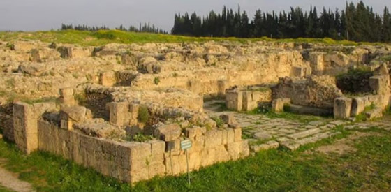 مملكة أوغاريت السورية.. أقدم أبجدية وأول تدوين موسيقي (صور) صورة رقم 4