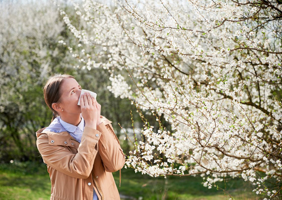 تعاني من الحساسية خلال فصل الربيع؟ إليك 5 أعشاب تساعد بالتقليل من أعراضها صورة رقم 11
