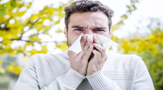 من التهاب الجهاز التنفسي إلى حساسية الجلد.. 4 أمراض قد تصيبك في الربيع صورة رقم 3