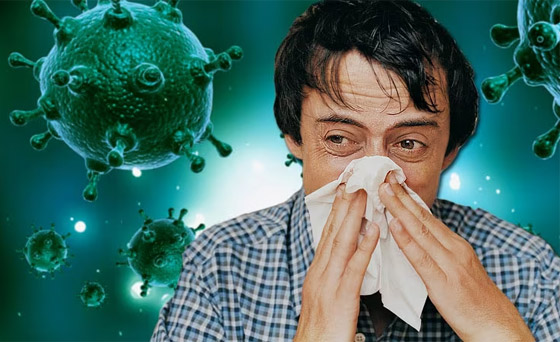 علماء كبار يحذرون: الإنفلونزا قد تكون وراء الجائحة المقبلة صورة رقم 7