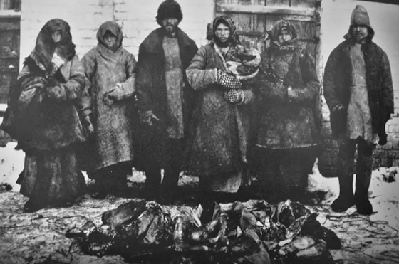 بهذا العام..أنقذت أميركا الروس من المجاعة والتيفوس صورة رقم 5