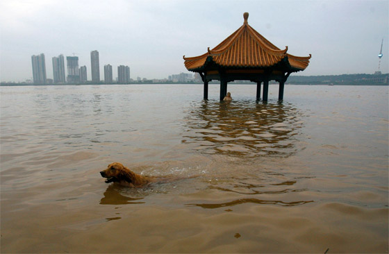 مدن الصين تغرق تحت الأرض.. ما القصة؟ صورة رقم 4