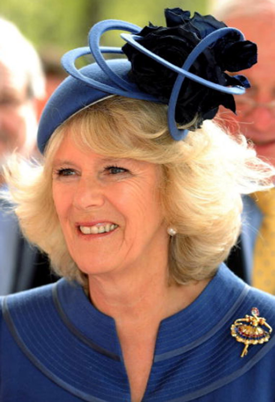 أولها الملكة إليزابيث.. أسرار اختيار المجوهرات الشخصية بالعائلة المالكة البريطانية صورة رقم 13