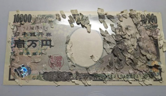 صبي ياباني يُجمع أجزاء ورقة نقدية مزقها عن طريق الخطأ (صور) صورة رقم 4