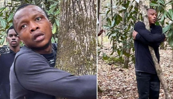 غانا.. رجل يعانق أكثر من ألف شجرة لتسجيل رقم قياسي صورة رقم 2