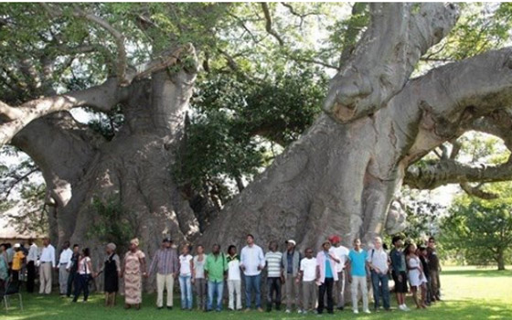  الفيضانات تقتلع شجرة عمرها 800 عام في كينيا! صورة رقم 5