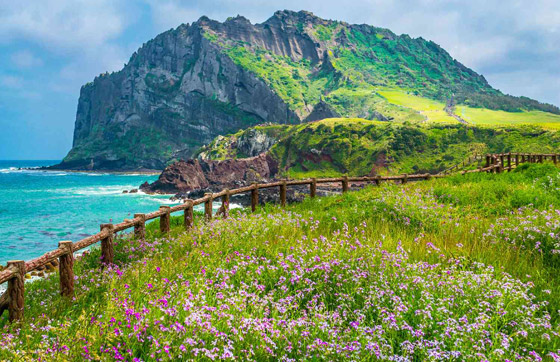 نصائح لعشاق الطبيعة عند زيارة جزيرة جيجو في كوريا الجنوبية صورة رقم 4