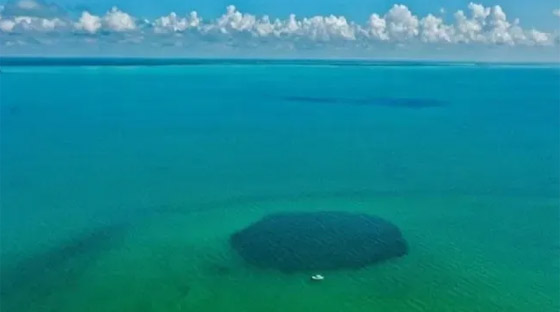 في المكسيك.. مواصفات أعمق ثقب أزرق تحت الماء في العالم صورة رقم 1