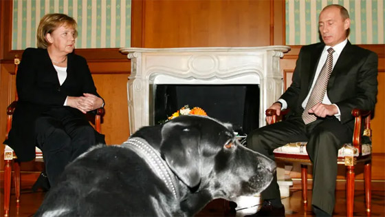 من الكلاب السود لاقتلاع قلب غزال.. غرائب مجهولة عن الروسي بوتين صورة رقم 1
