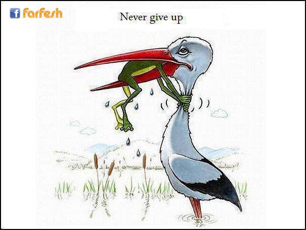 لا تستسلم أبداا ..