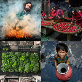 إليكم الصور الفائزة بجائزة مسابقة تصوير الطعام لعام 2022